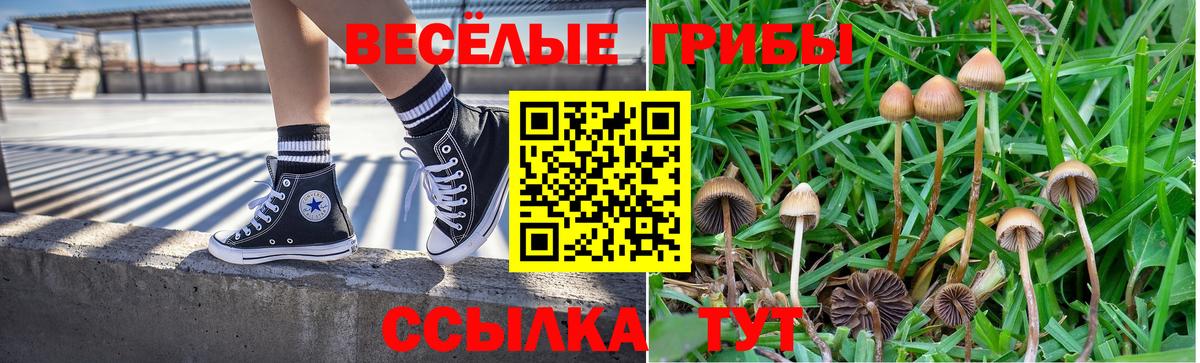Кимовск  Галлюциногенные грибы мухоморы  Вход с VPN  Псилоцибиновые грибы мицелий 