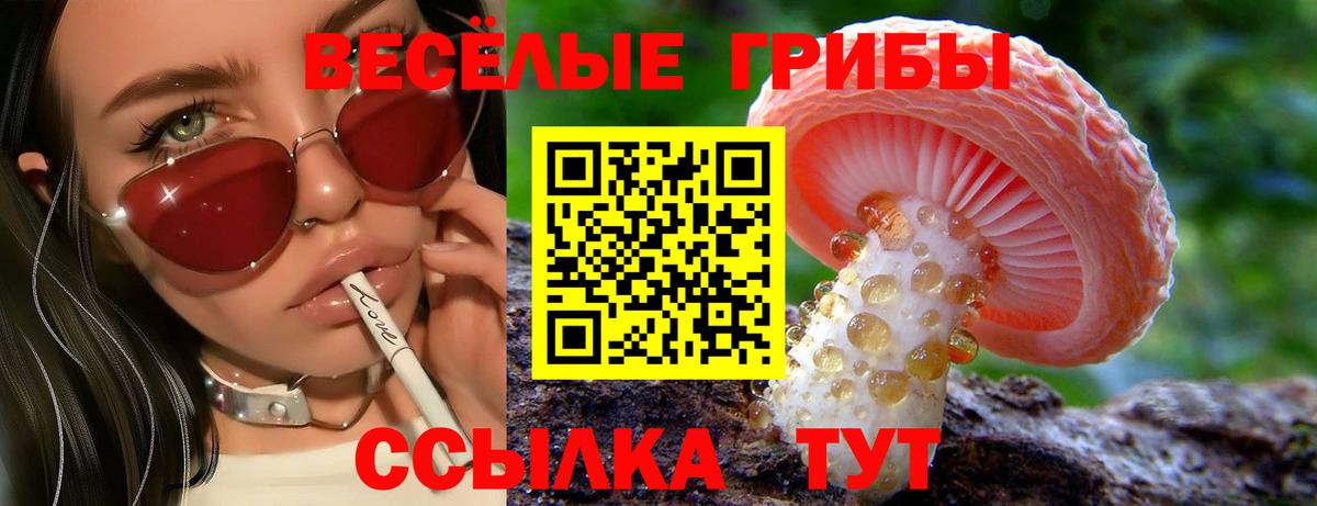 Псилоцибиновые грибы MAGIC MUSHROOMS Кимовск