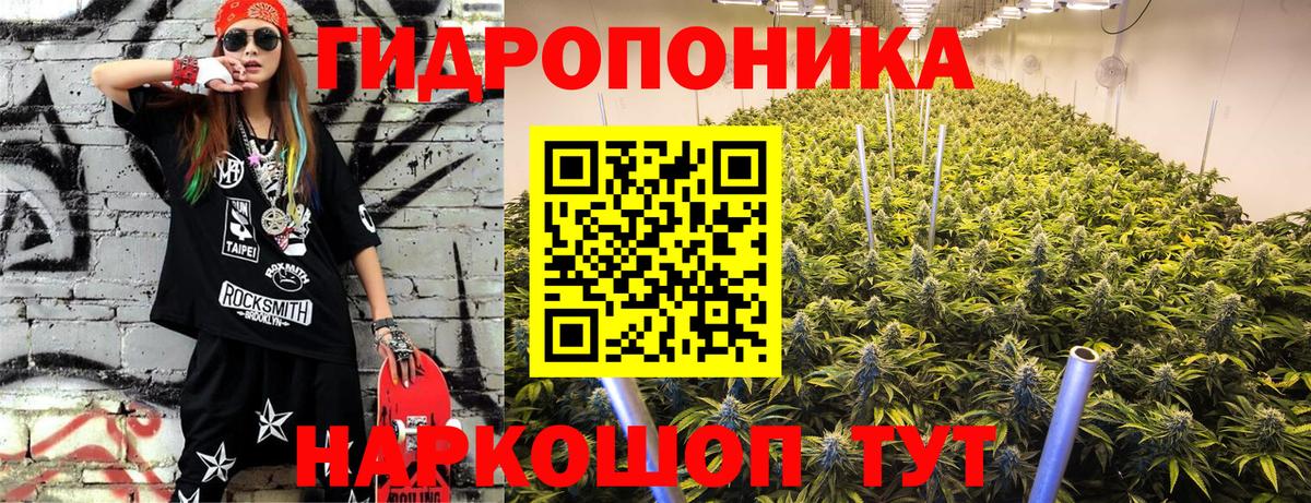 Бошки Шишки сатива Кимовск